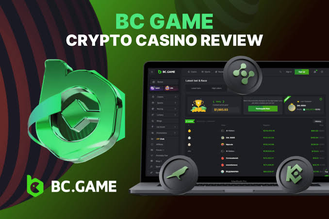 Understanding the BC.Game Login Process A Step-by-Step Guide -263393666